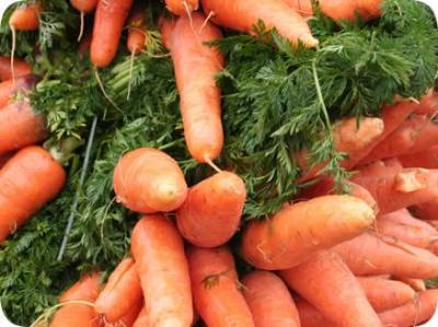 Bajas en precios de zanahorias, lechugas y cebollas